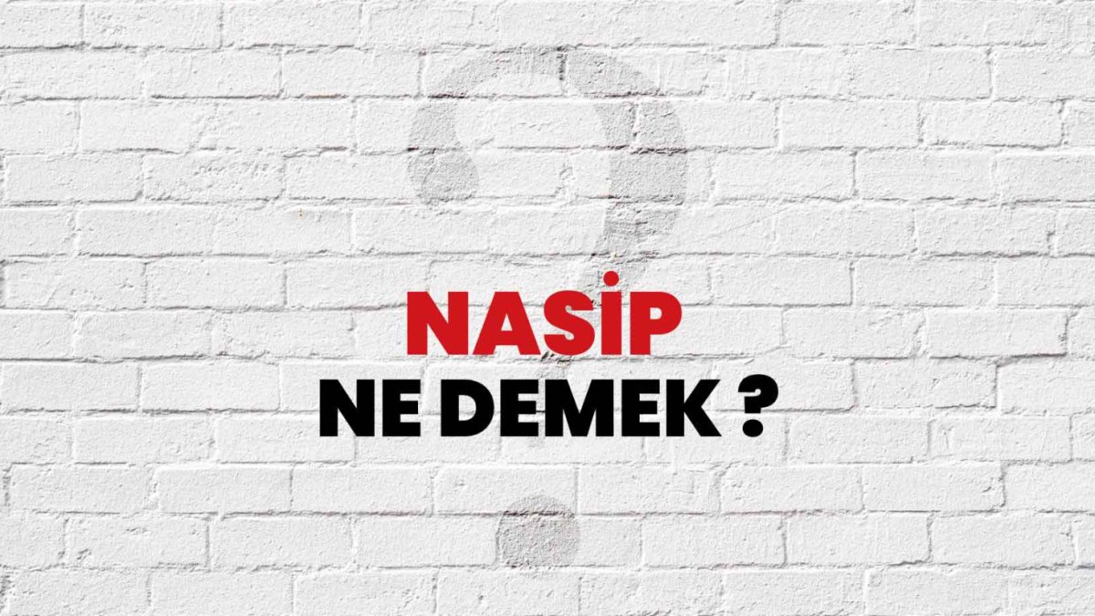 Nasip Nedir ve Nasıl Oluşur?