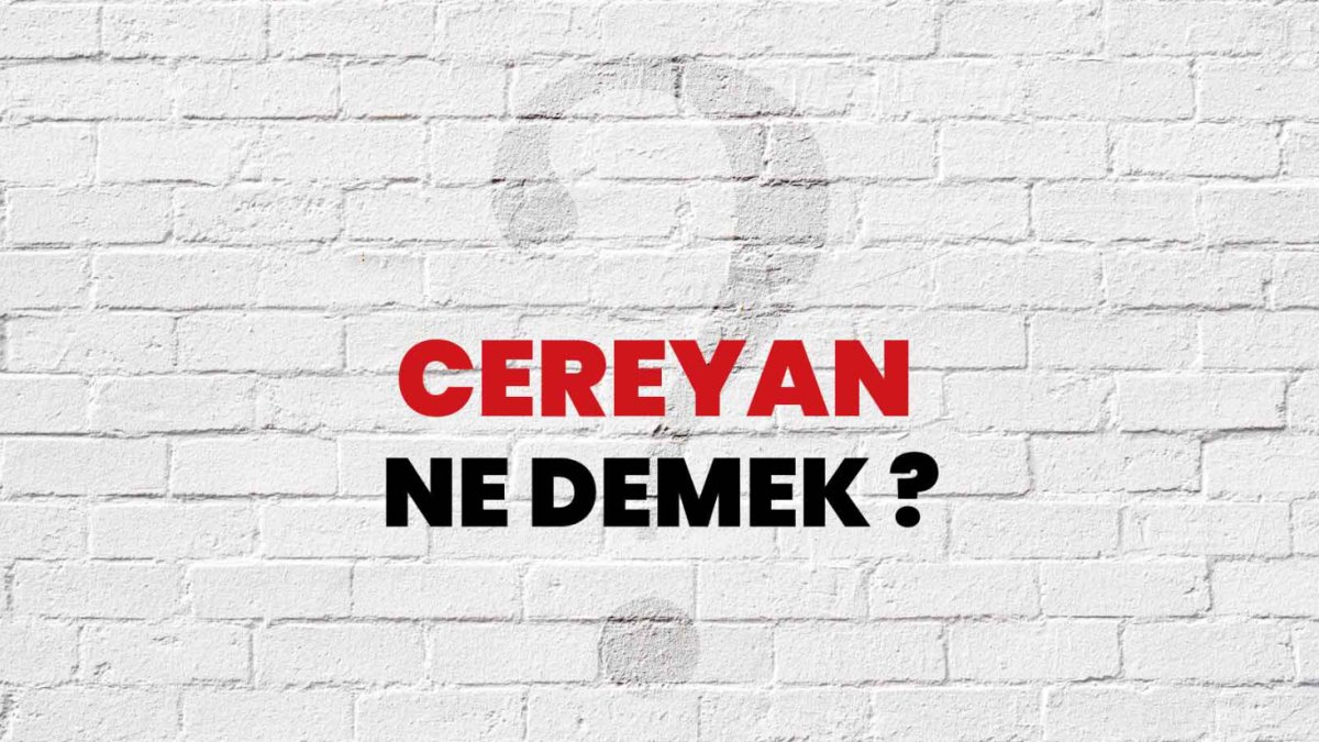 Cereyan Nedir? Elektrikteki Anlamı ve Önemi