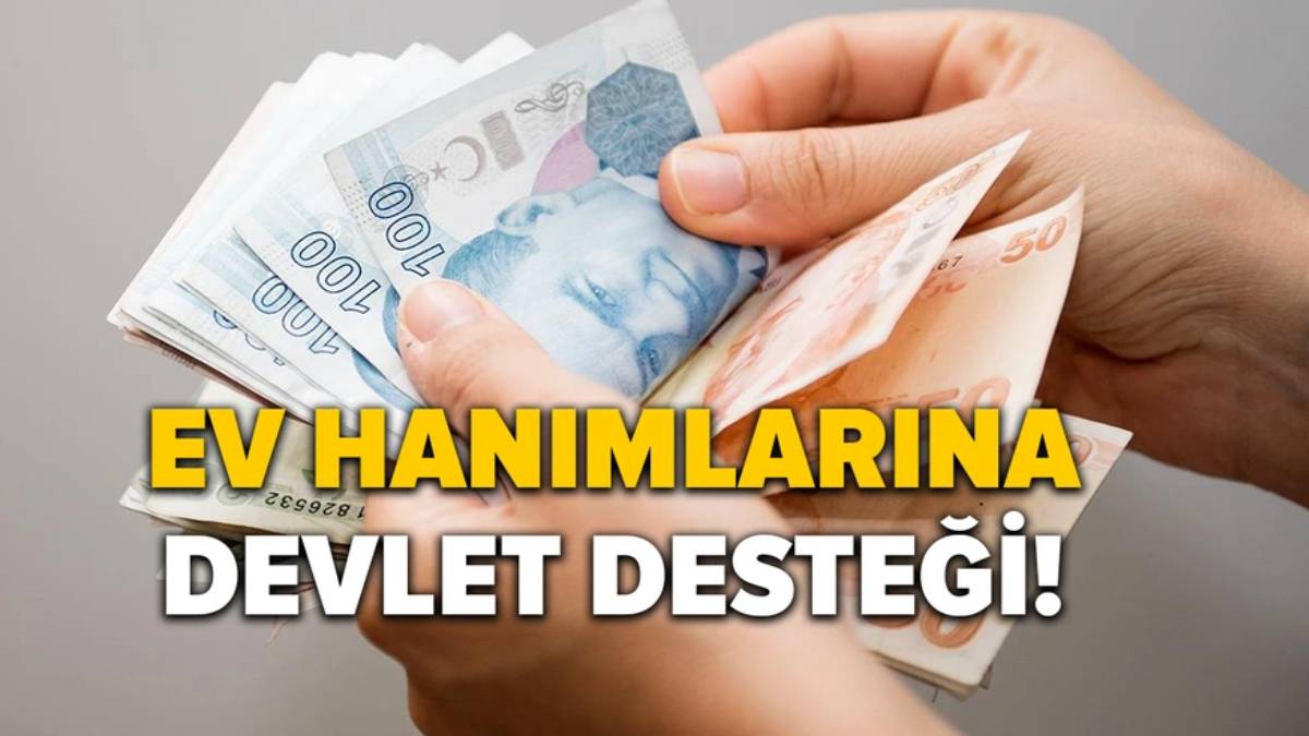 Annelere devlet desteği müjdelendi! Başvuru yapanlara 3 bin 700 TL ödenecek: Tek şartı var