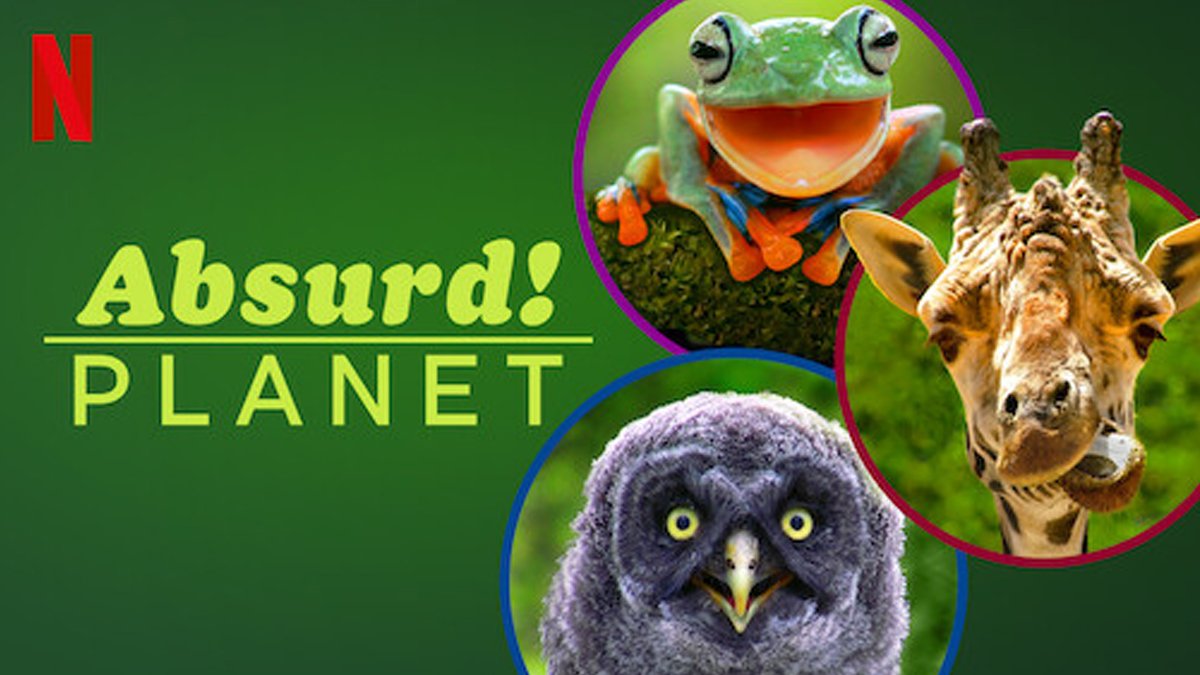 Absurd Dizisi İzle Tüm Bölümler, Dizinin Konusu ve Oyuncu Kadrosu