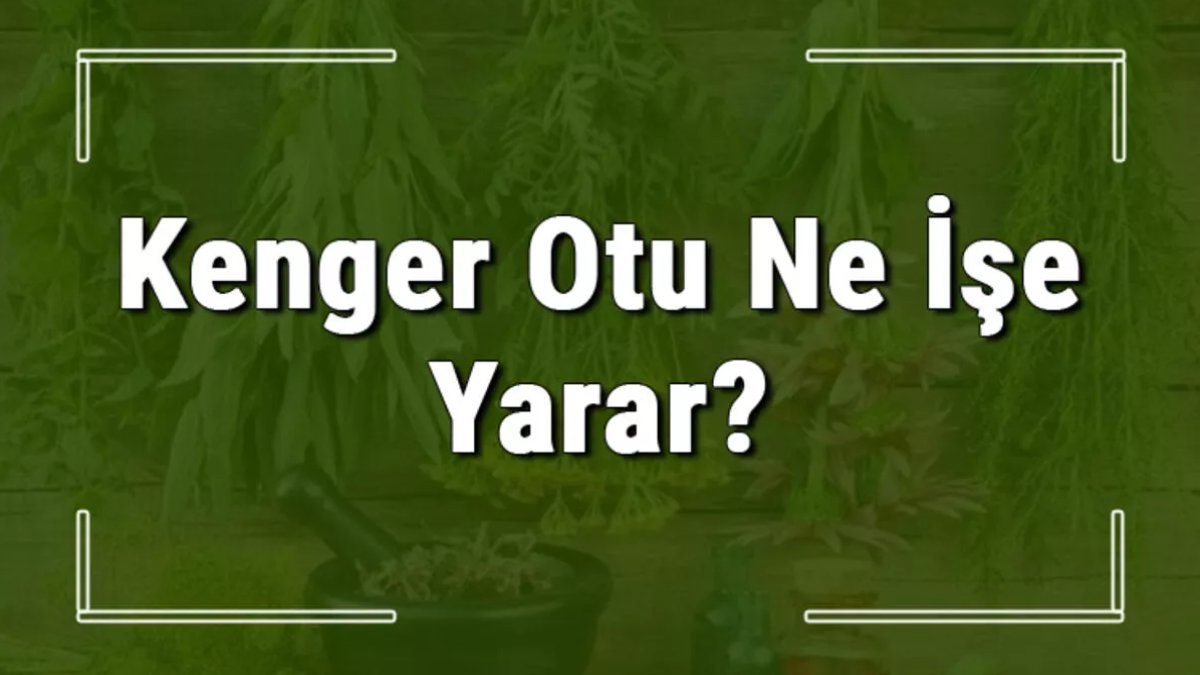 Kengerin Faydaları: Sağlık ve Beslenme Açısından Bakış