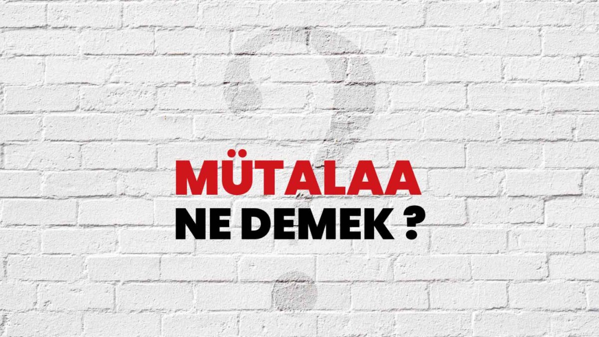 Mütalaa Ne Demek? Nedir ve Nasıl Kullanılır?