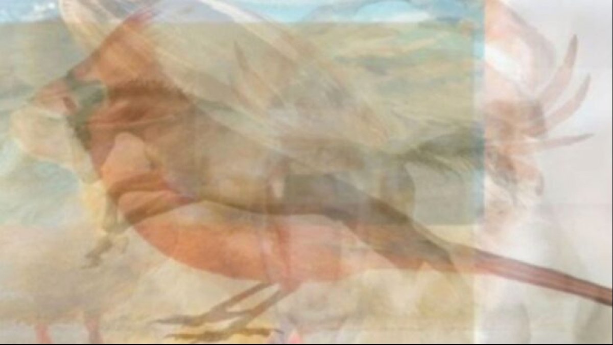 Gördüğünüz ilk hayvanı hiç düşünmeden söyleyin! Bu test sevgi dilinizin ne olduğunu buluyor...