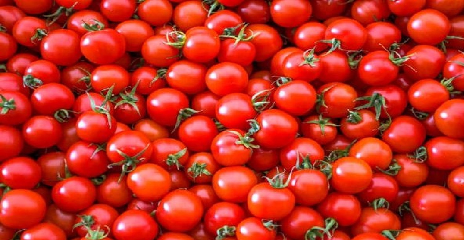 Her öğün sofraya koyduğunuz o besine dikkat! Bağırsakları mahvediyor: Canan Karatay uyardı