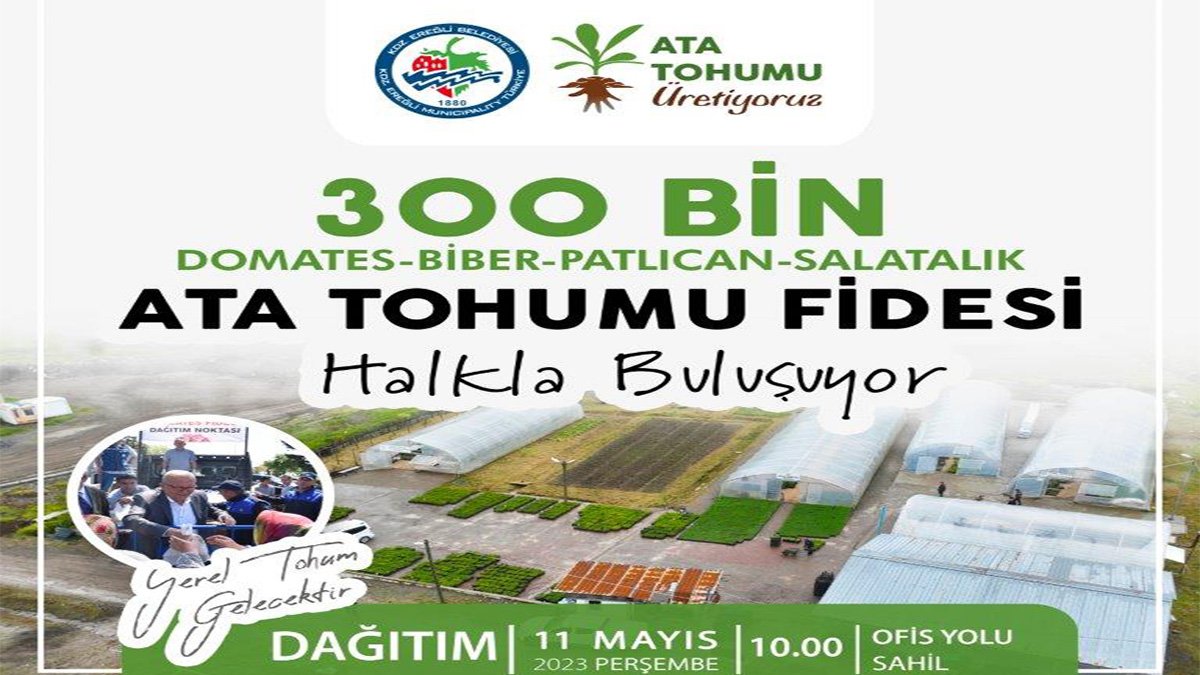 Kdz. Ereğli Belediyesi, 300 bin Ata tohumu fidesi dağıtacak
