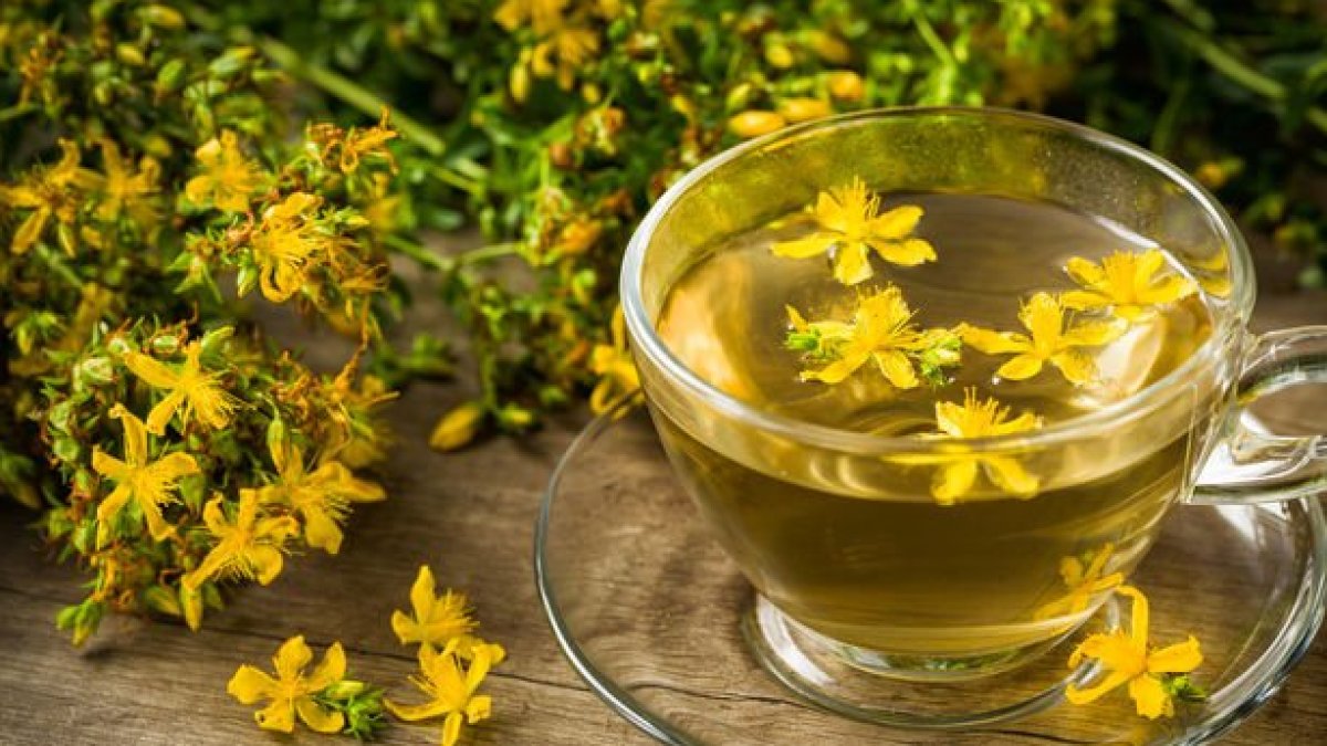 Kantaron Çayının Faydaları: Sağlıklı ve Doğal Bir Seçenek