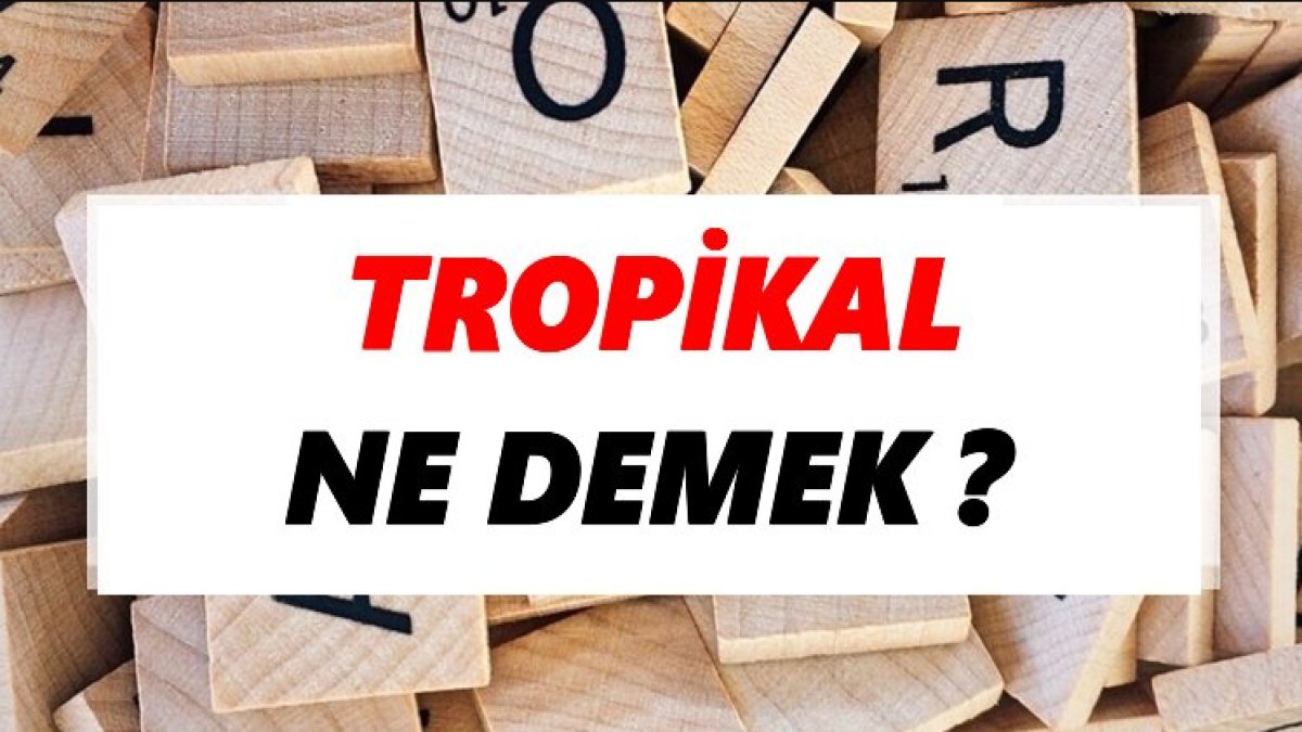 Tropikal Ne Demek? Tropikal İklim Nedir?