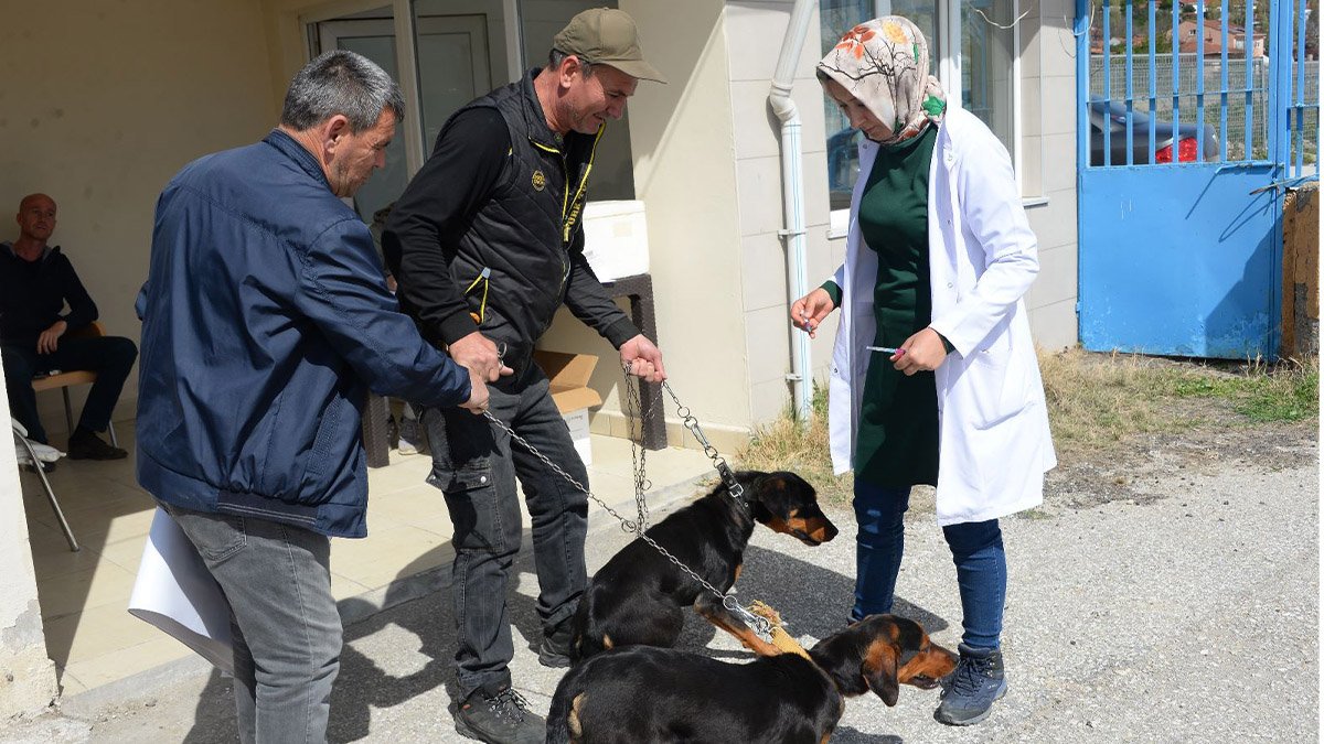 Bozüyük’te Ücretsiz Kuduz Aşısı Kampanyası kapsamında 263 aşı yapıldı