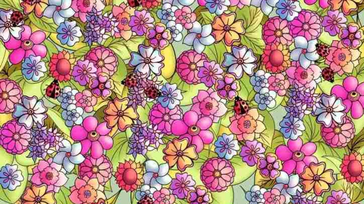 Çiçeklerin arasına gizlenmiş kelebeği bulabilir misin? 7 saniyede bulanların IQ'su en 120 çıkıyor!