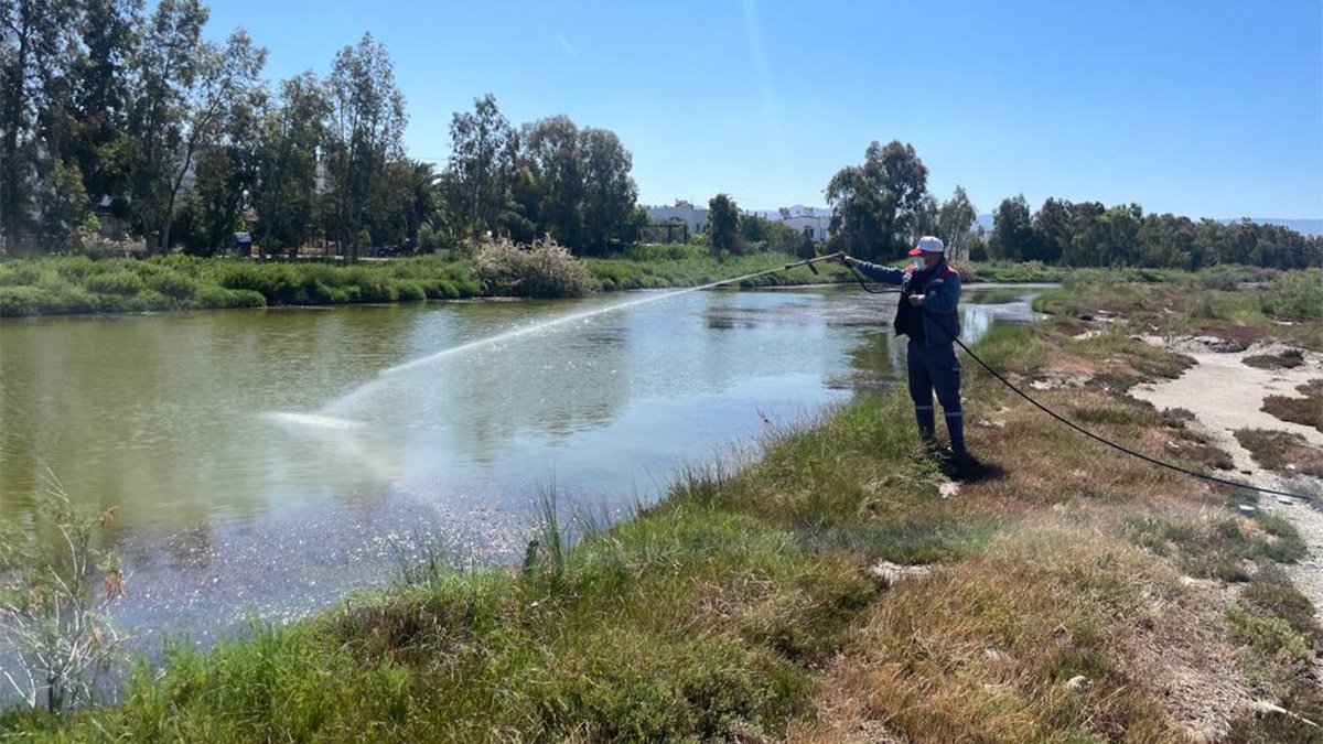 Sinek ve haşeresiz yaz için ilaçlama çalışmaları hız kazandı