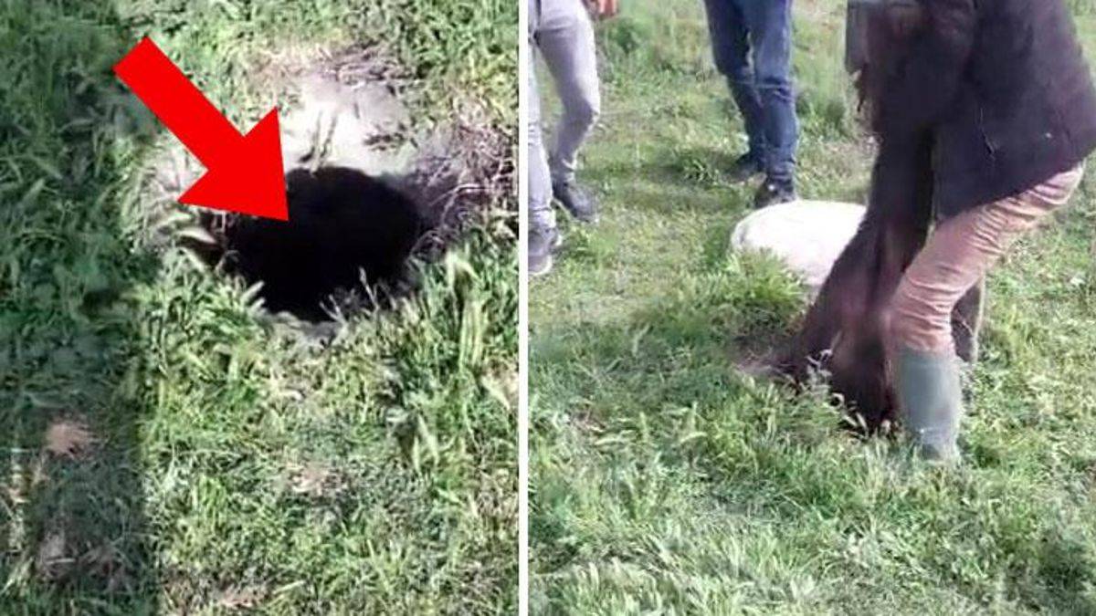 Gelen sese giden vatandaşlar gördükleri manzara karşısında hayatının şokunu yaşadı! Kuyudan çıkanı görünce...