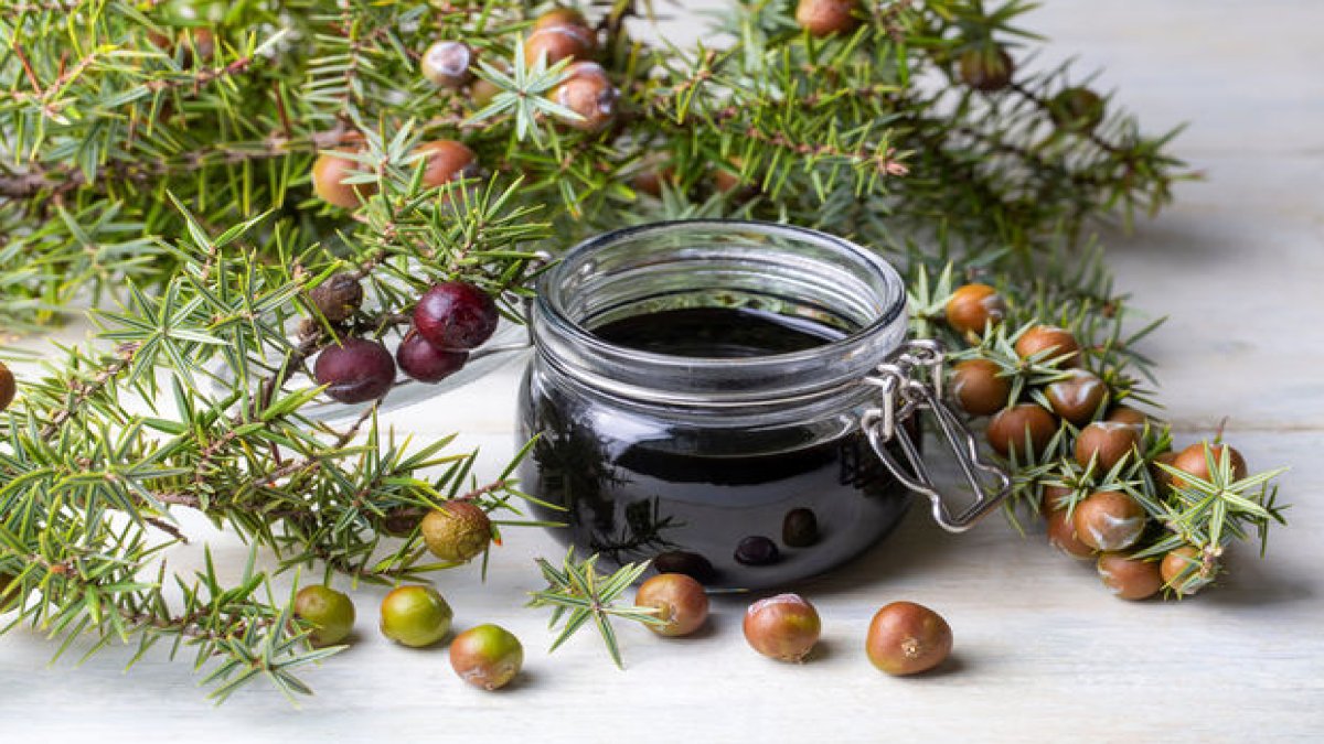 Andız Pekmezi Faydaları