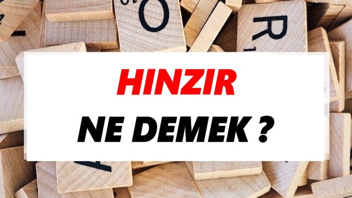 Hınzır Ne Demek?
