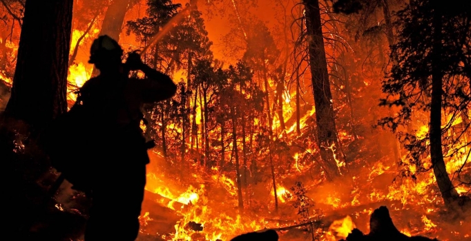 İzmir'de orman yakan PKK'lılar yakalandı