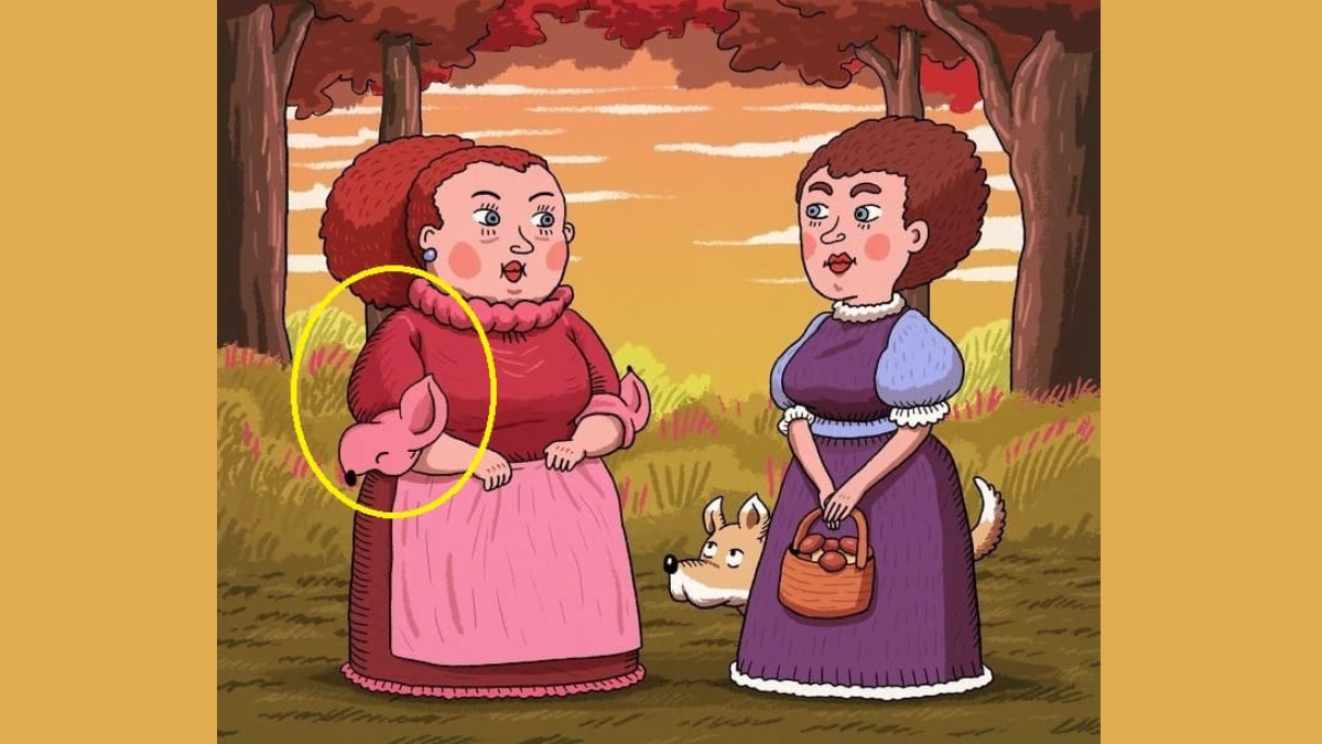 İnsanların %99'u resimdeki ikinci gizli köpeği bulamıyor! 5 saniyede bulanların IQ'su en az 120 çıkıyor