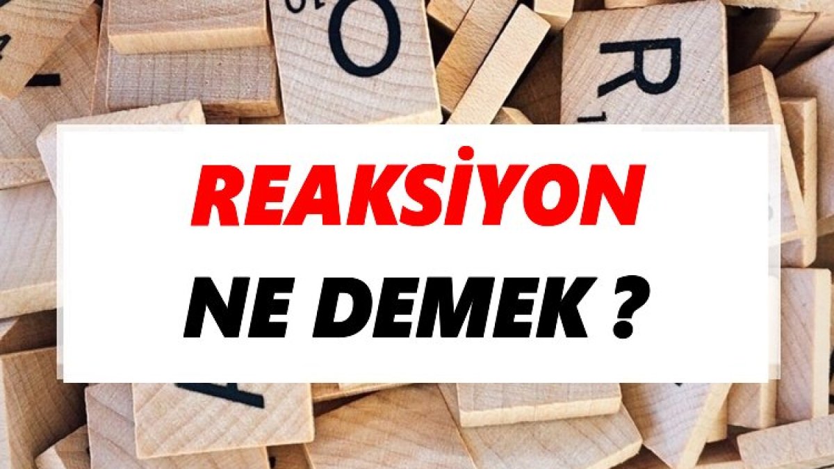 Reaksiyon Nedir?