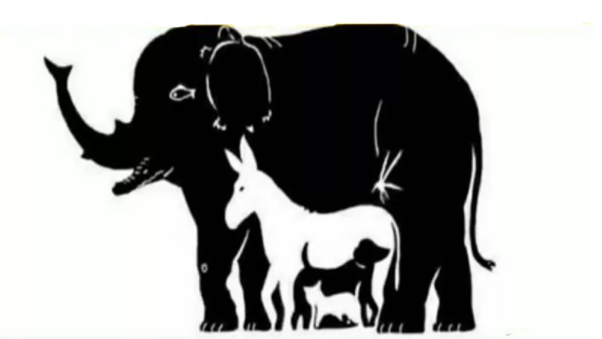 Bu resimde kaç hayvan var? Tüm hayvanları bulanların zekası Einstein ile yarışıyor!