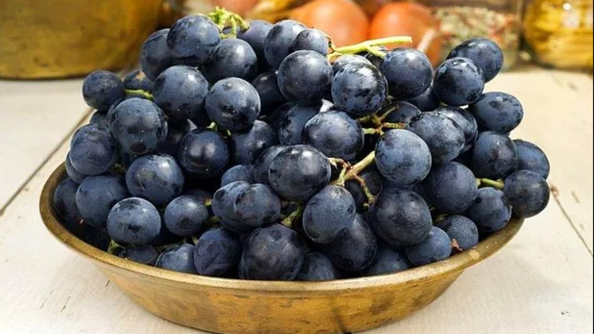 Siyah Üzümün Faydaları