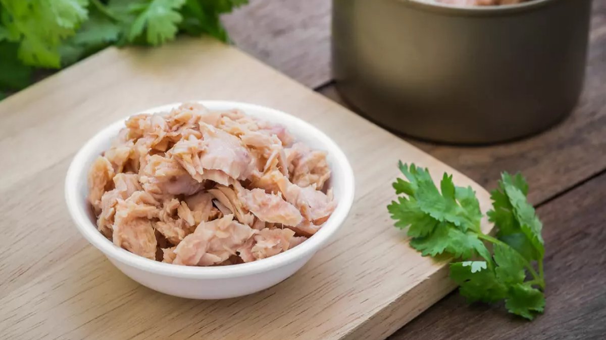 Ton Balığının Faydaları