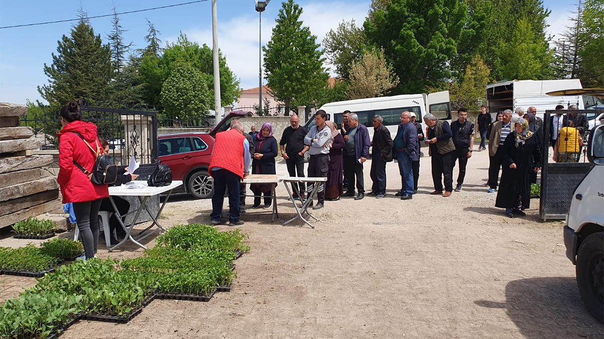 Kırşehir Belediyesi, 501 bin fideyi yerli üretici ile buluşturdu