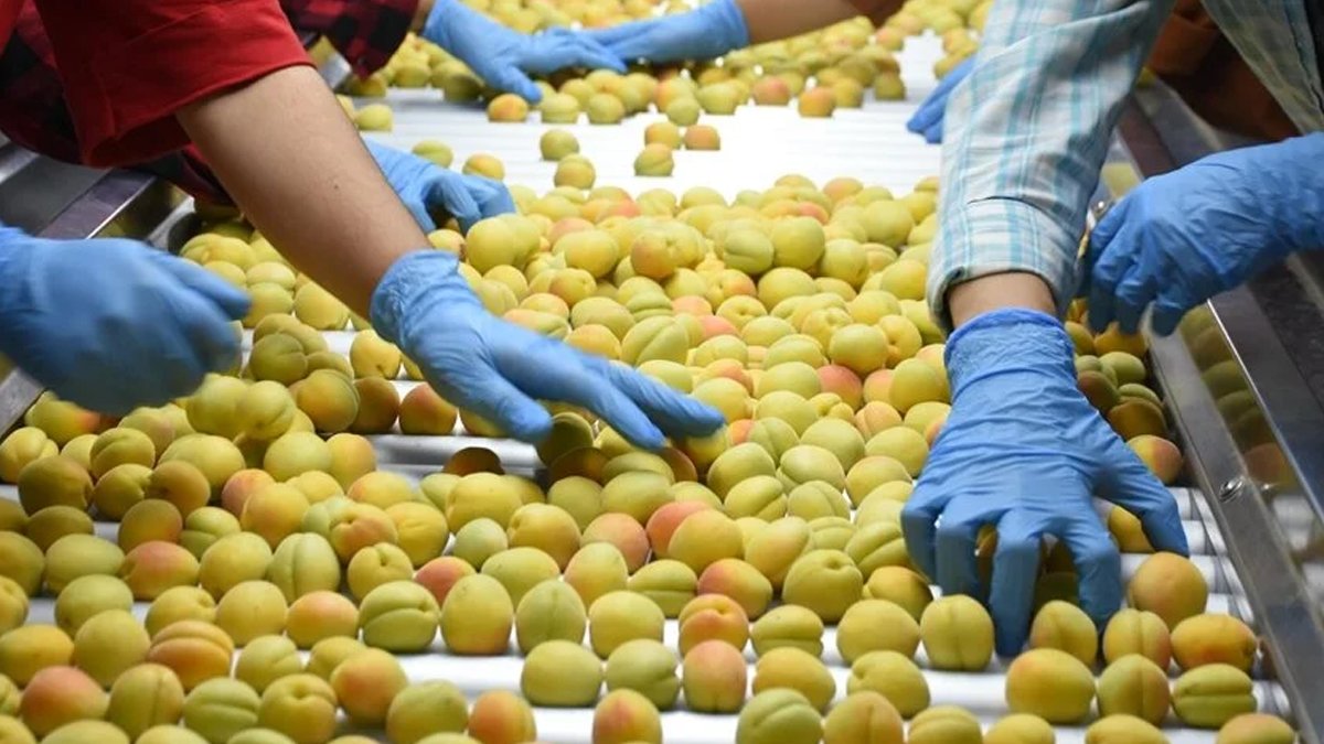 Kayısı çekirdeğinde siyanür, portakalda pestisit