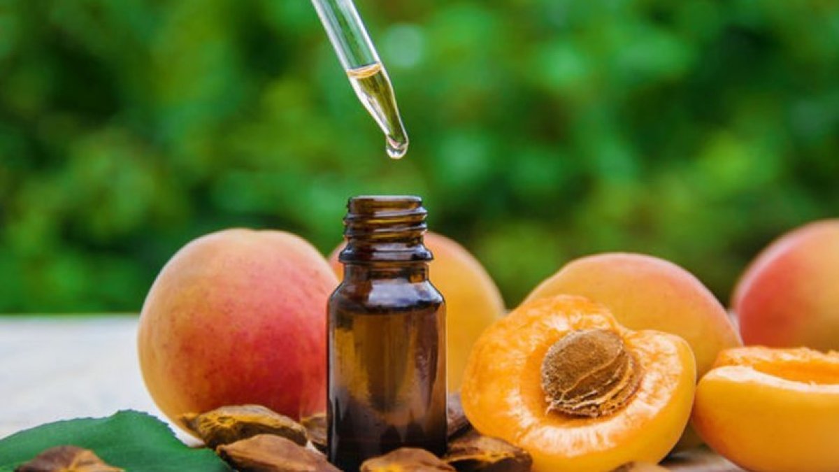 Kayısı Yağı ve Faydaları