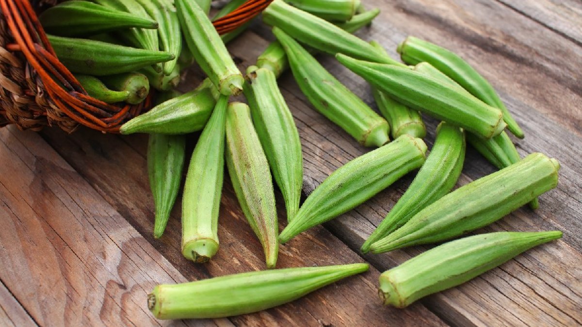 Bamyanın Faydaları