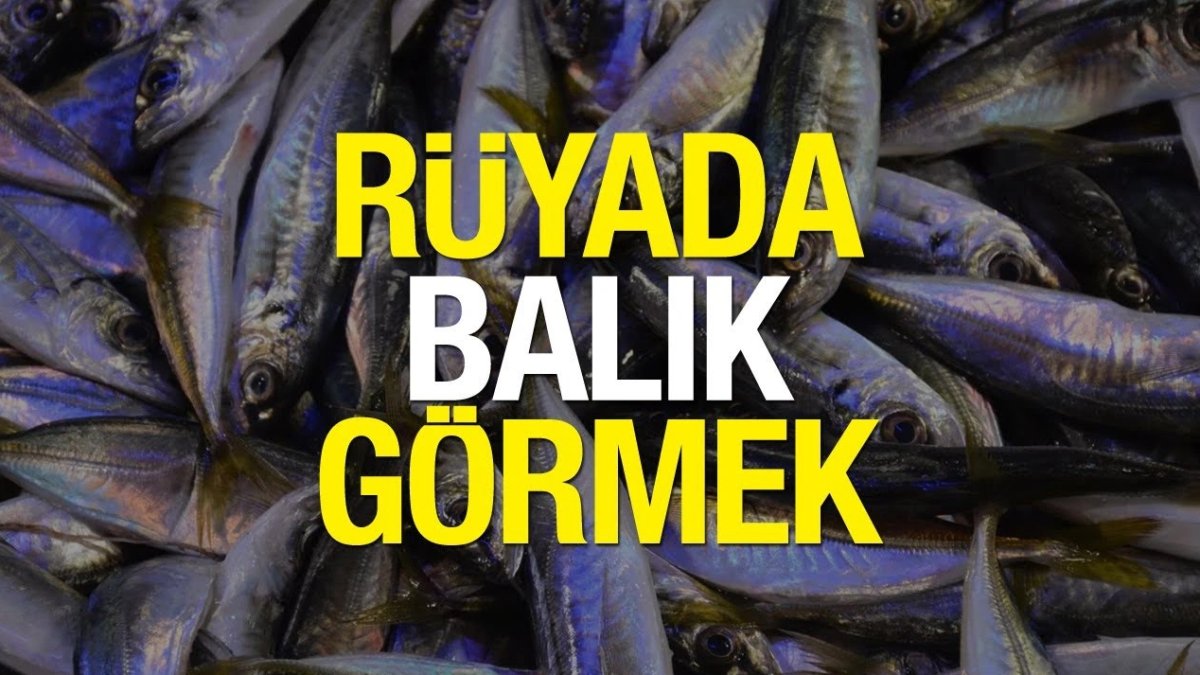 Rüyada Balık Görmek: Anlam ve Önemi