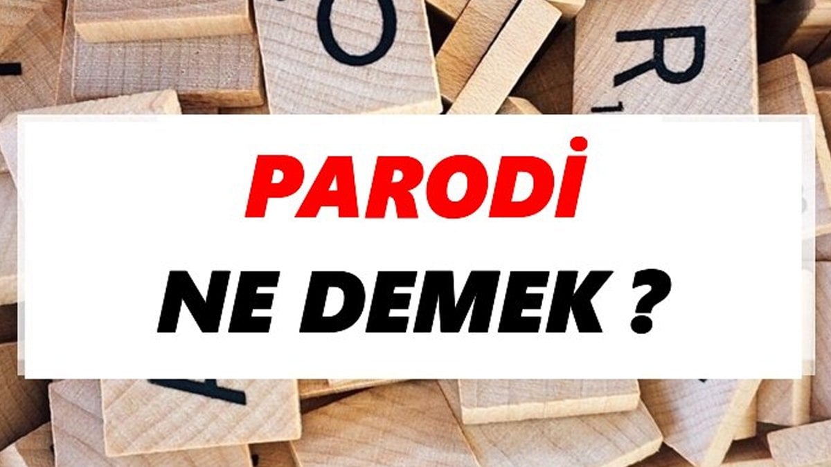 Parodi Ne Demek?