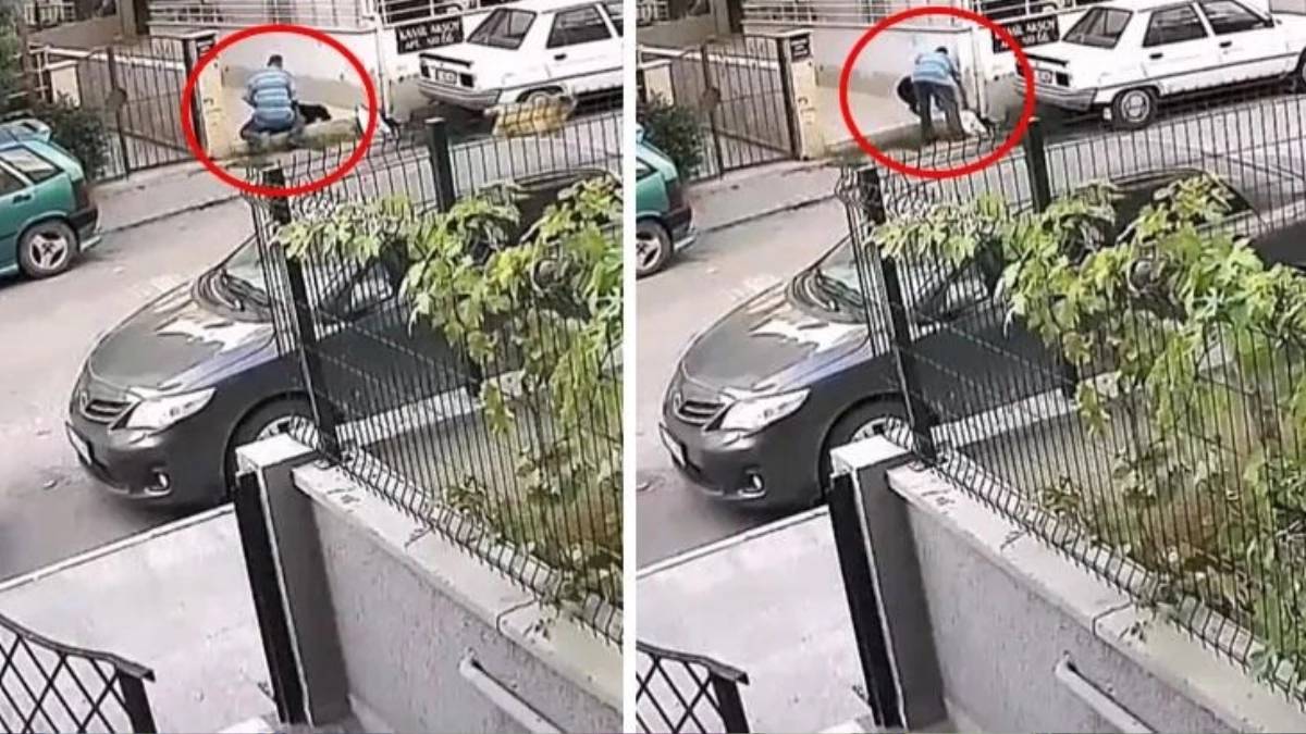 O ilimizde skandal görüntüler! Gündüz vakti sokak ortasında köpeğe... O sapık için hesap vakti!