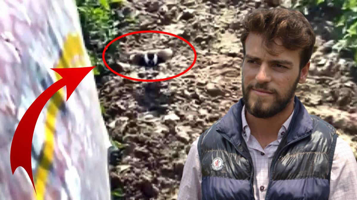 Tarlayı süren çiftçi hayatının şokunu yaşadı! 'Israrla beni engellemeye çalıştı' dedi, yaşadıklarını anlattı