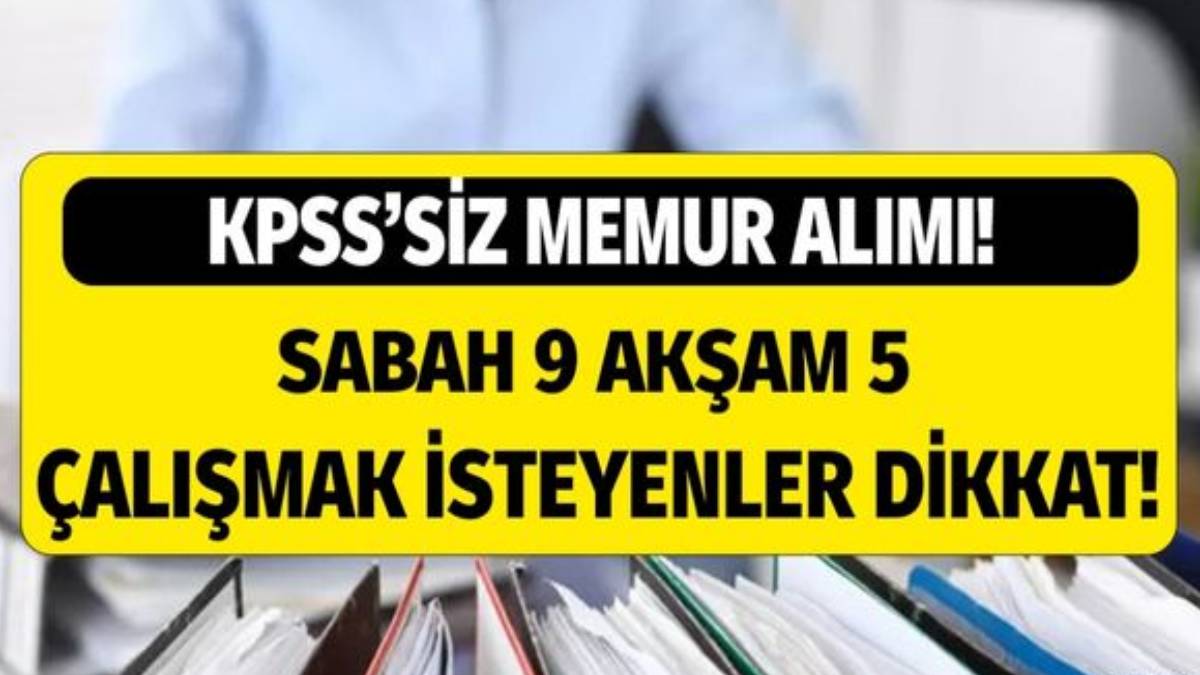Sabah 9 akşam 5 çalışmak isteyenlere fırsat doğdu! Kamuya çok sayıda personel alınacak: Başvuru şartlarına dikkat