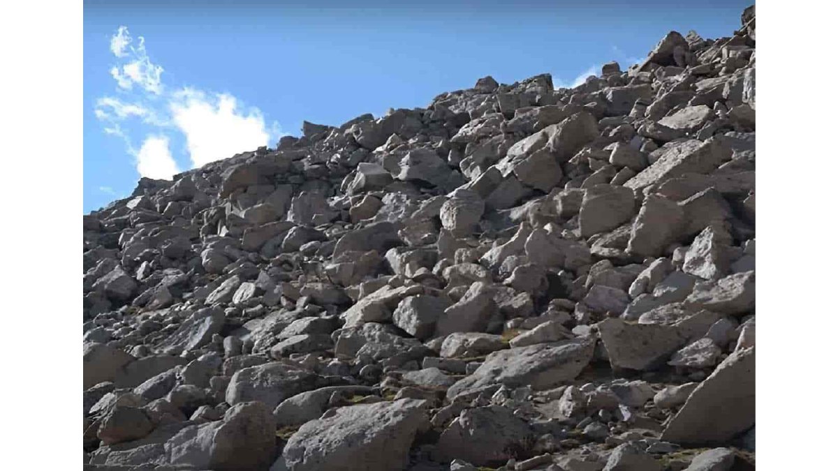 Sadece en dikkatli gözler kayaların arasındaki gizli keçiyi bulabiliyor! 9 saniyede bulanların IQ'su 120 çıkıyor!