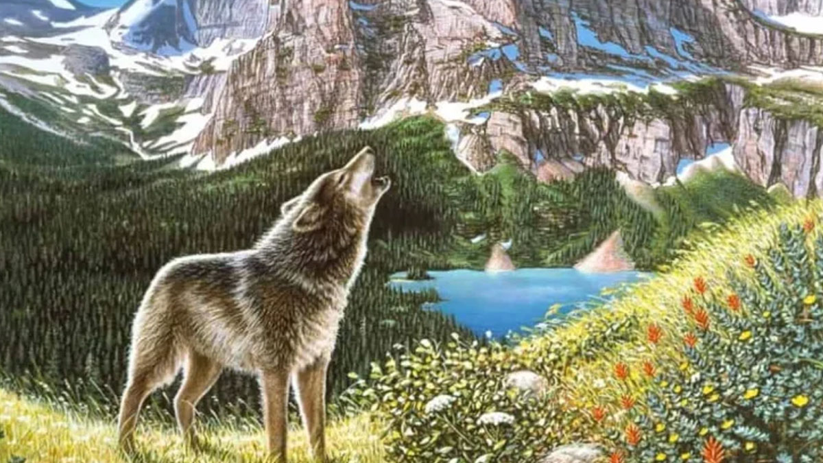 Gizlenmiş 4 kurdu bulan dahi çıkıyor! 120 IQ ve üzeri 6 saniyede buluyor: Uluyan kurtları bul