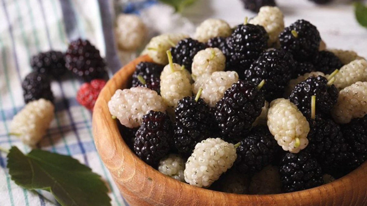 Rüyada Dut Toplamak: Anlamlar ve Yorumlar