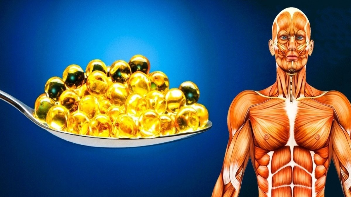 Yağ Oranı Düşürme İçin Etkili Yöntemler