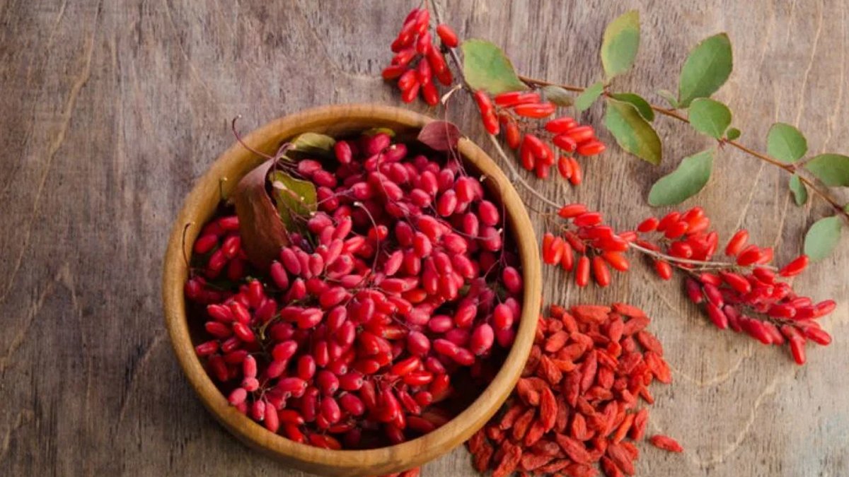 Goji Berry Nedir?