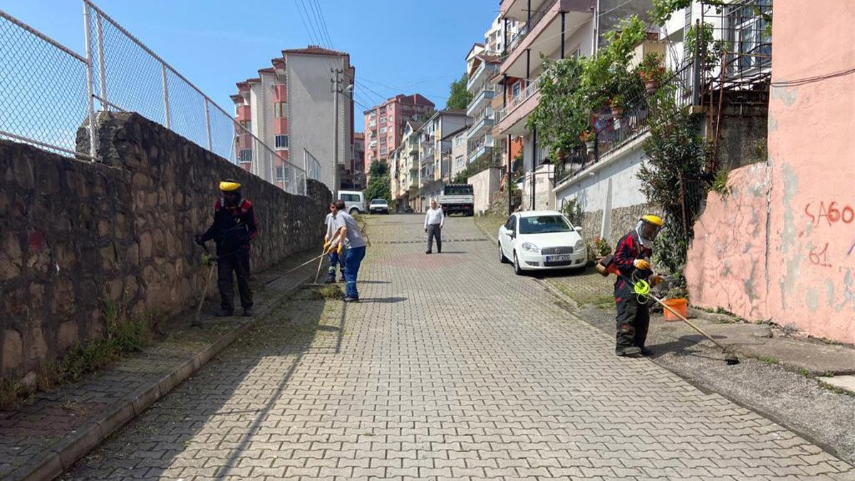 Kdz. Ereğli’de bahar temizliği yapılıyor