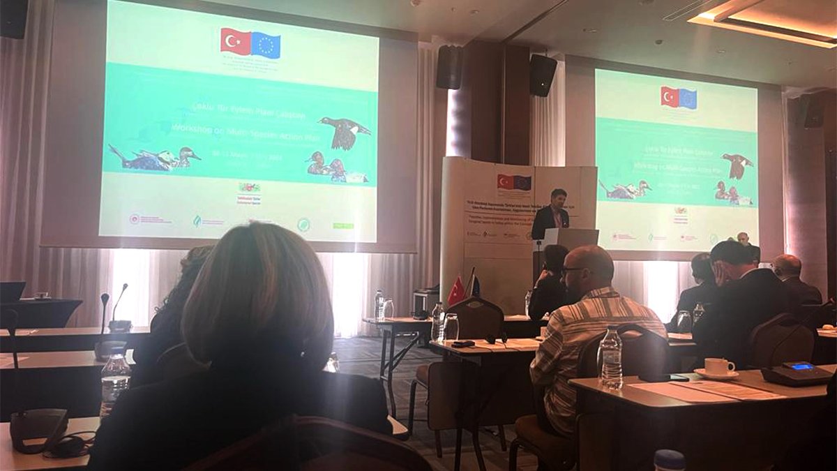 Eskişehir Hayvanat Bahçesine çalıştayda önemli görev