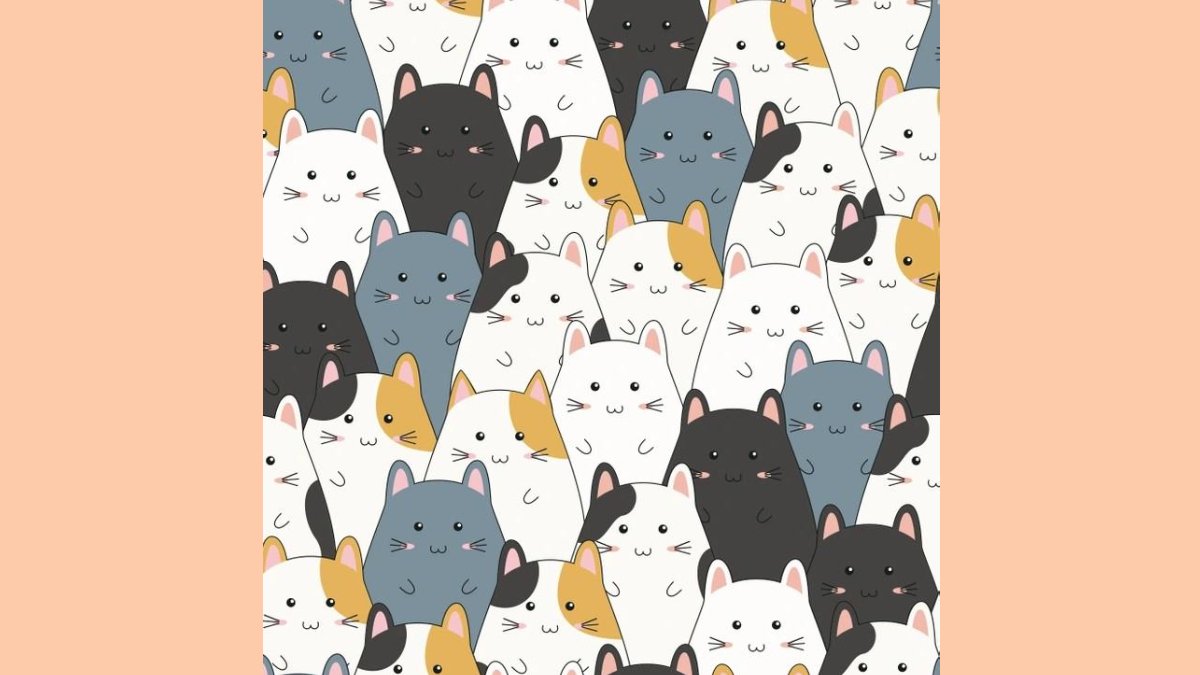 İnsanların sadece %1'i resimdeki hamsterler arasındaki gizli kediyi 15 saniyede bulabiliyor!