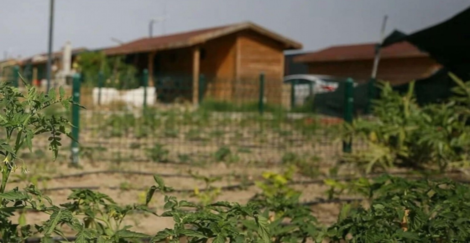 Milli Emlak kelepir arsa satıyor! 2 bin 3 bin 5 bin TL'si olanlar arsa sahibi olacak