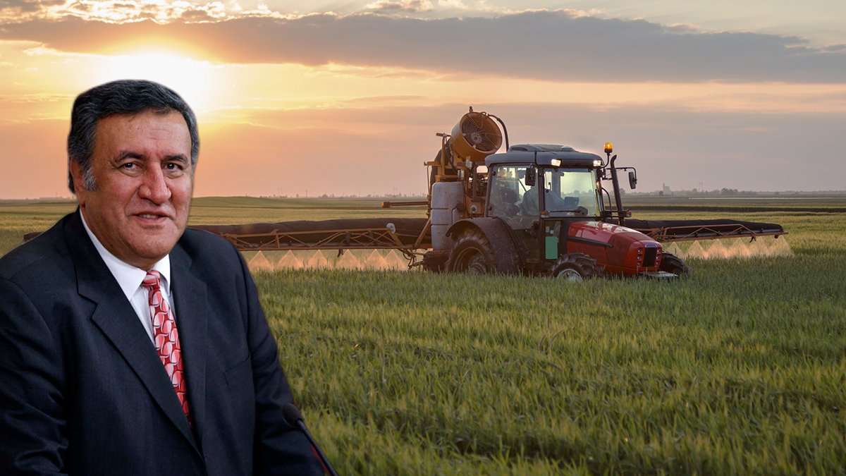 Oluşan bitki hastalıkları üretimde sorunlara neden oluyor: Dünyanın sağlığını bozduk