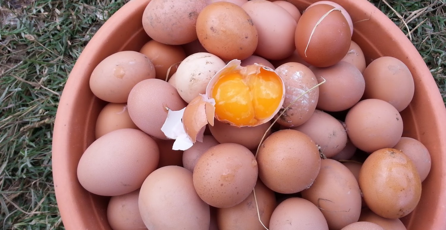 Yumurta fiyatlarında indirim günleri başladı! O market 30'lu L boy yumurtayı 59 TL'ye satılacak: Kısa süreli indirim kaçmaz!