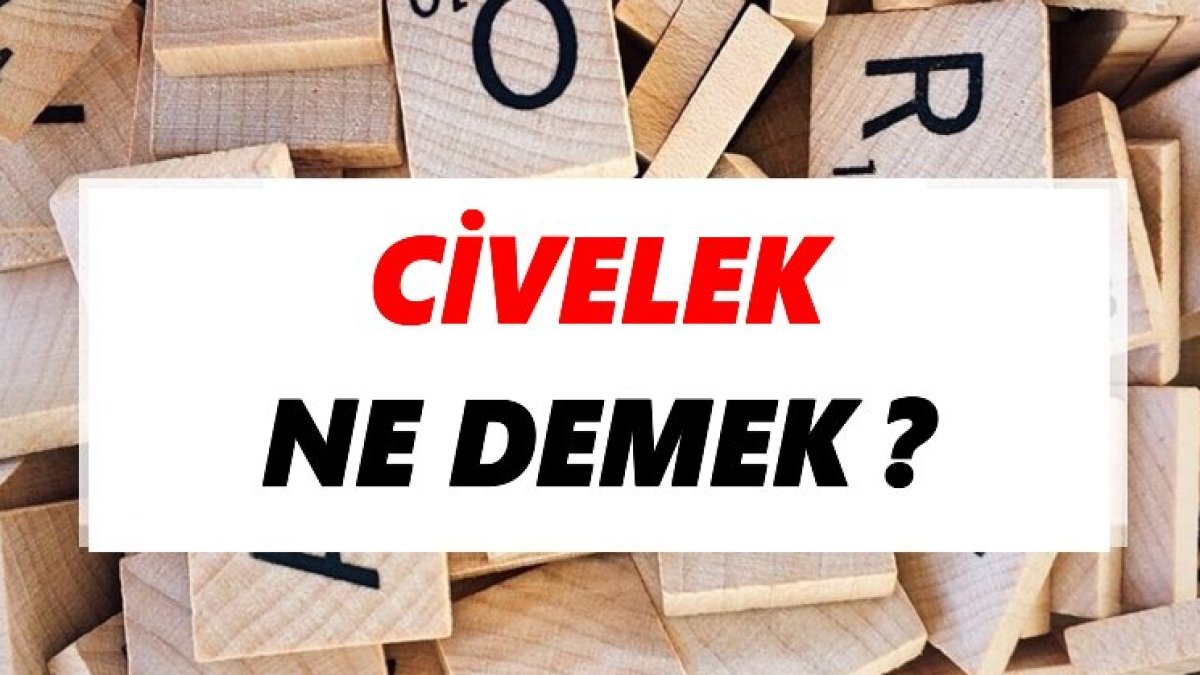 Civelek Ne Demek?