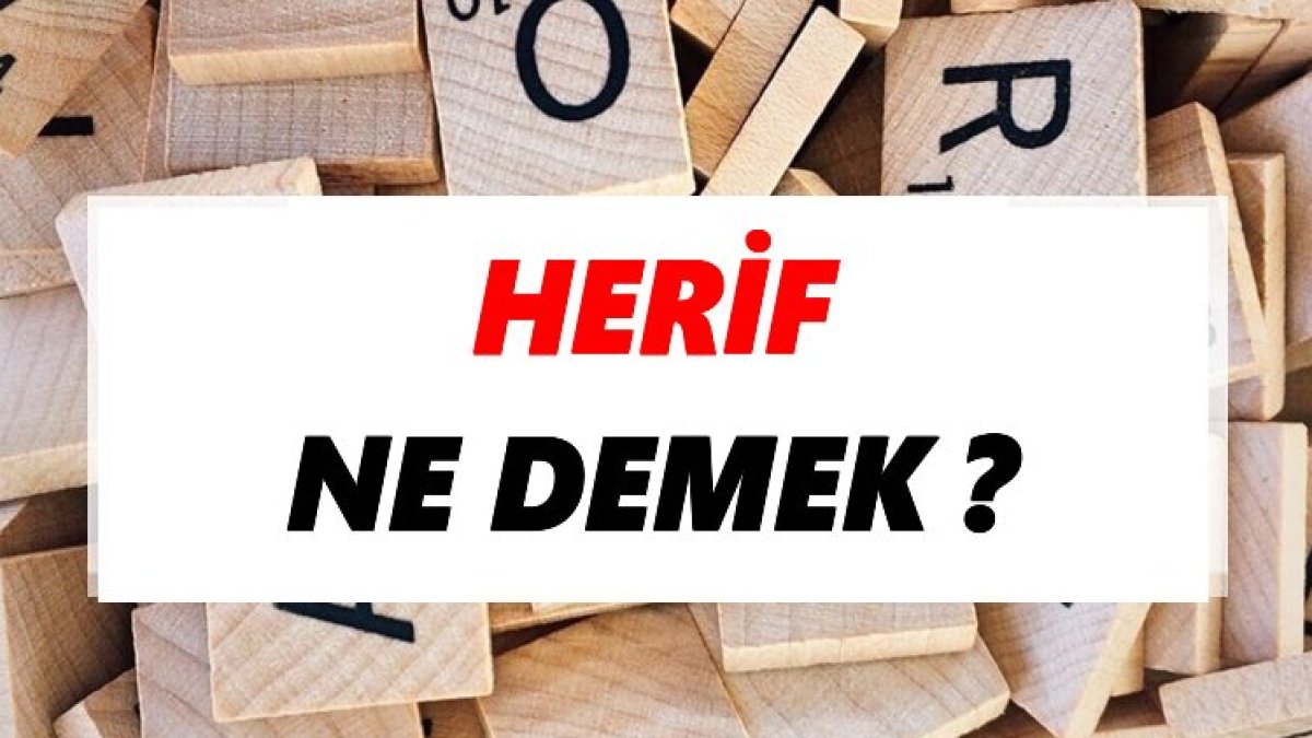 Herif Ne Demek?