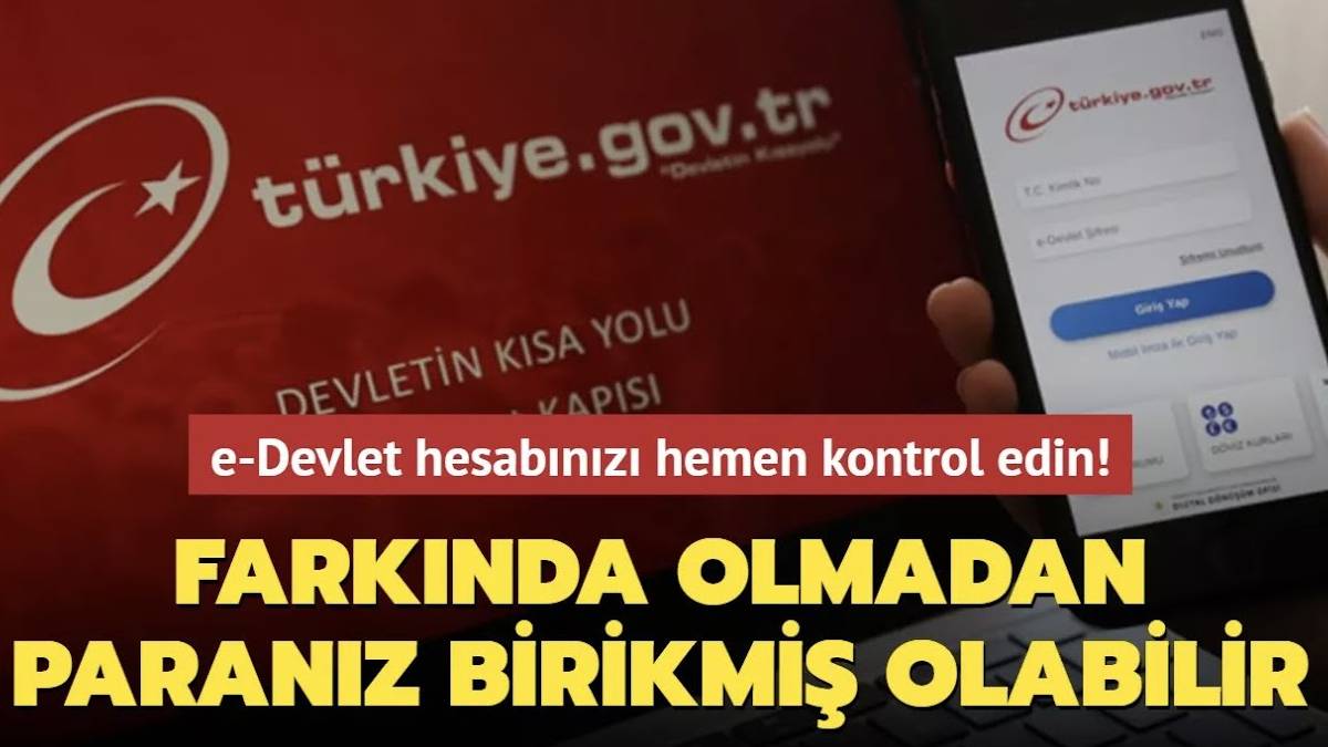 e-Devlet'te birikmiş binlerce liranız olabilir! Hemen kontrol edin: Para iadesi yapılıyor