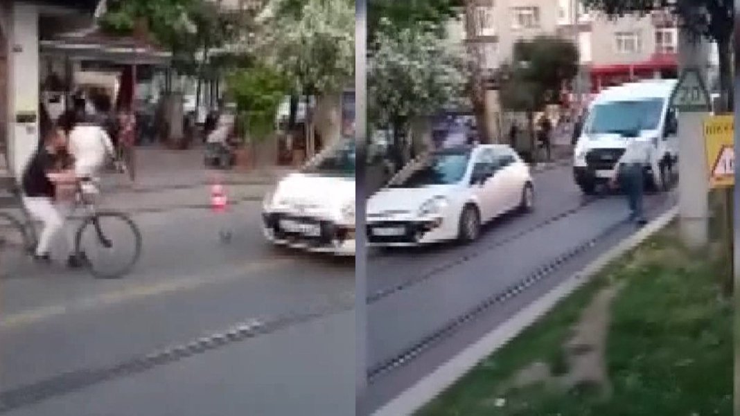 İstanbul'da karga saldırısı: Yavru kargaya kurtarmaya çalışınca...