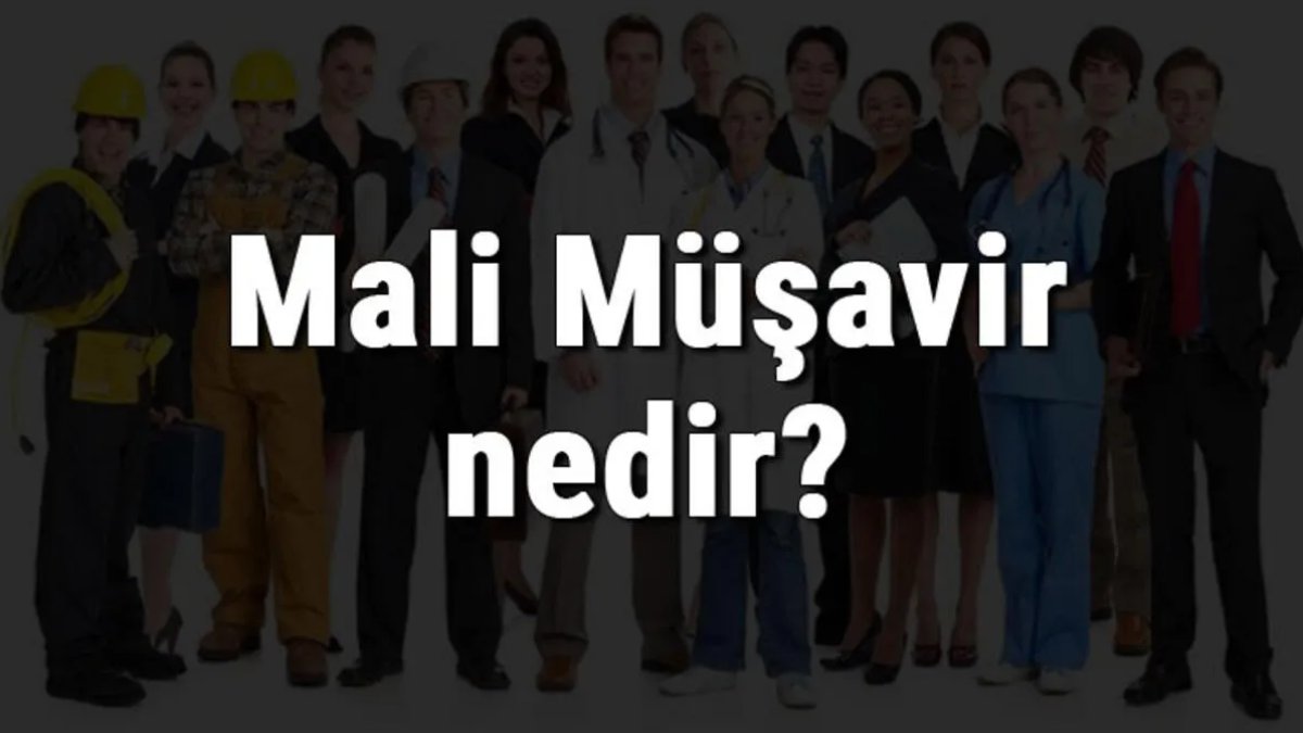 Mali Müşavir Ne Demek?