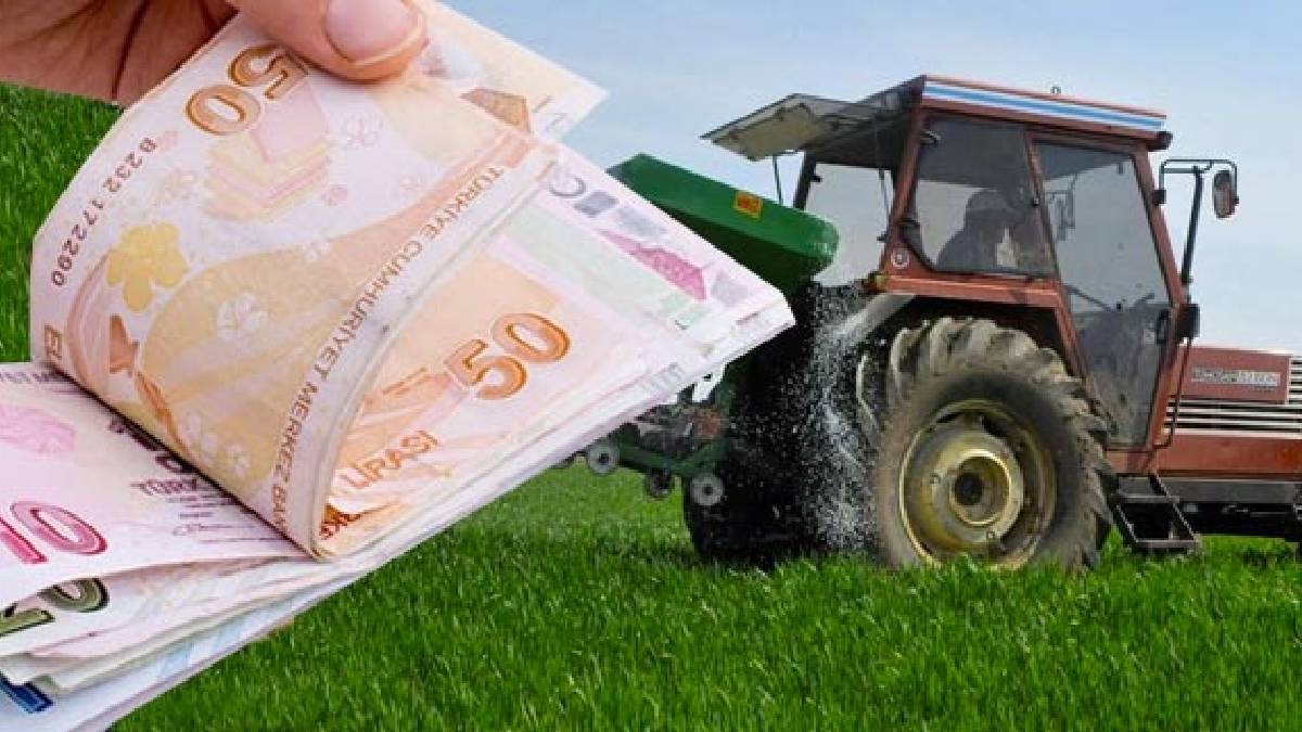 Çiftçilere müjde Tarım ve Orman Bakanlığı duyurdu Ödemeler hesaplarda
