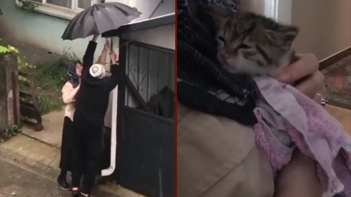 Hayvansever çift, sağanakta boruya sıkışan yavru kediyi kurtardı